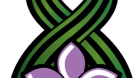 Нерадни дан- Дан државности РС